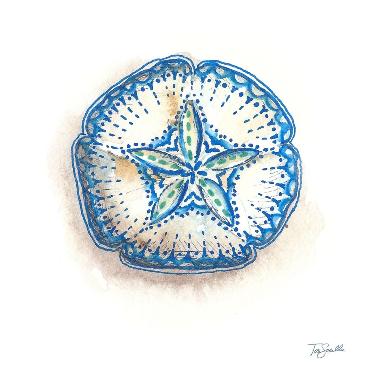 Bohemian Shells VI Poster Print by Tre Sorelle Studios - Item # VARPDXRB12707TS